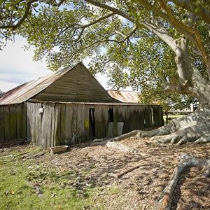 Bella Vista Farm